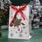 230 Gram/M2-Kerstmisdocument van het Koekjessuikergoed Partijzakken Vriendschappelijke Eco