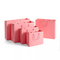 ISO-de Kledingsdocument van de Compensatiedruk de Kaneel Roze Document van het Zakkenondergoed Zak